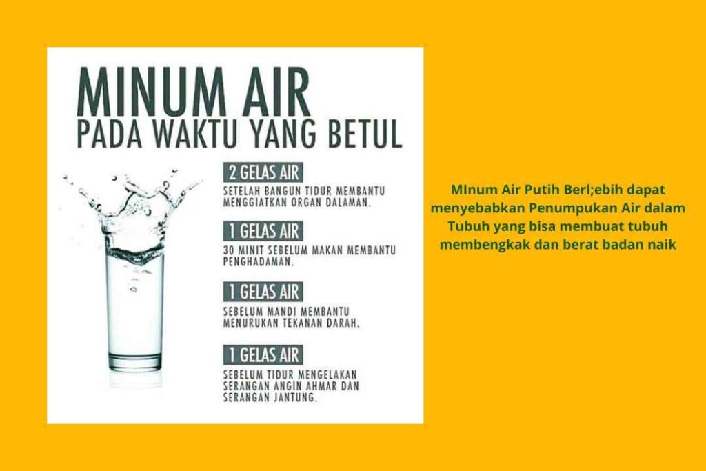 Diet-Alami-Dengan-Air-Putih-2