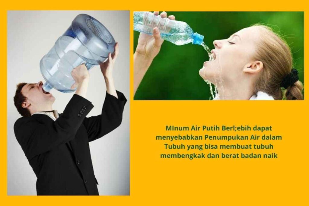 Diet-Alami-Dengan-Air-Putih-4